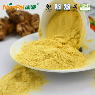 Root Extract Ginger Powder for Inflammation