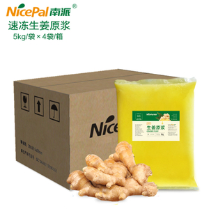 Quick Frozen Ginger Pulp - NFC Fruit And Vegetable Pulp